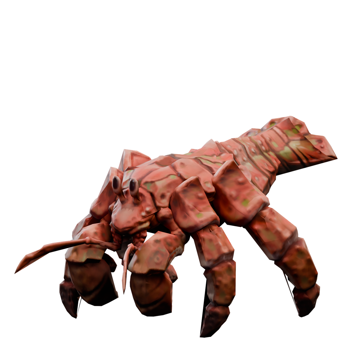 Driftshell Hermit Crab