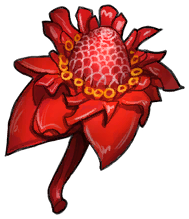 Desert Rose
