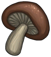 Mushroom