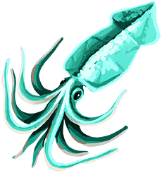 Jadeink Squid