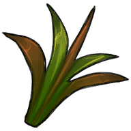Starleaf