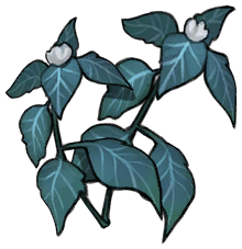 Snowleaf