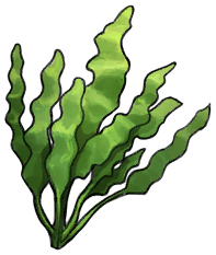Tidesilk Kelp