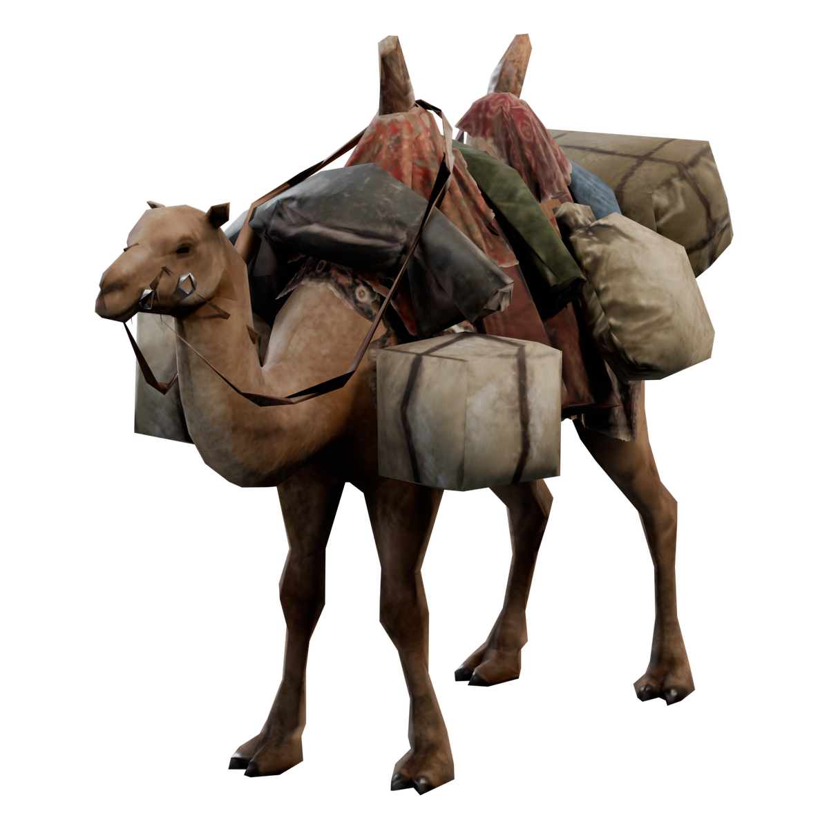 Tazan Camel