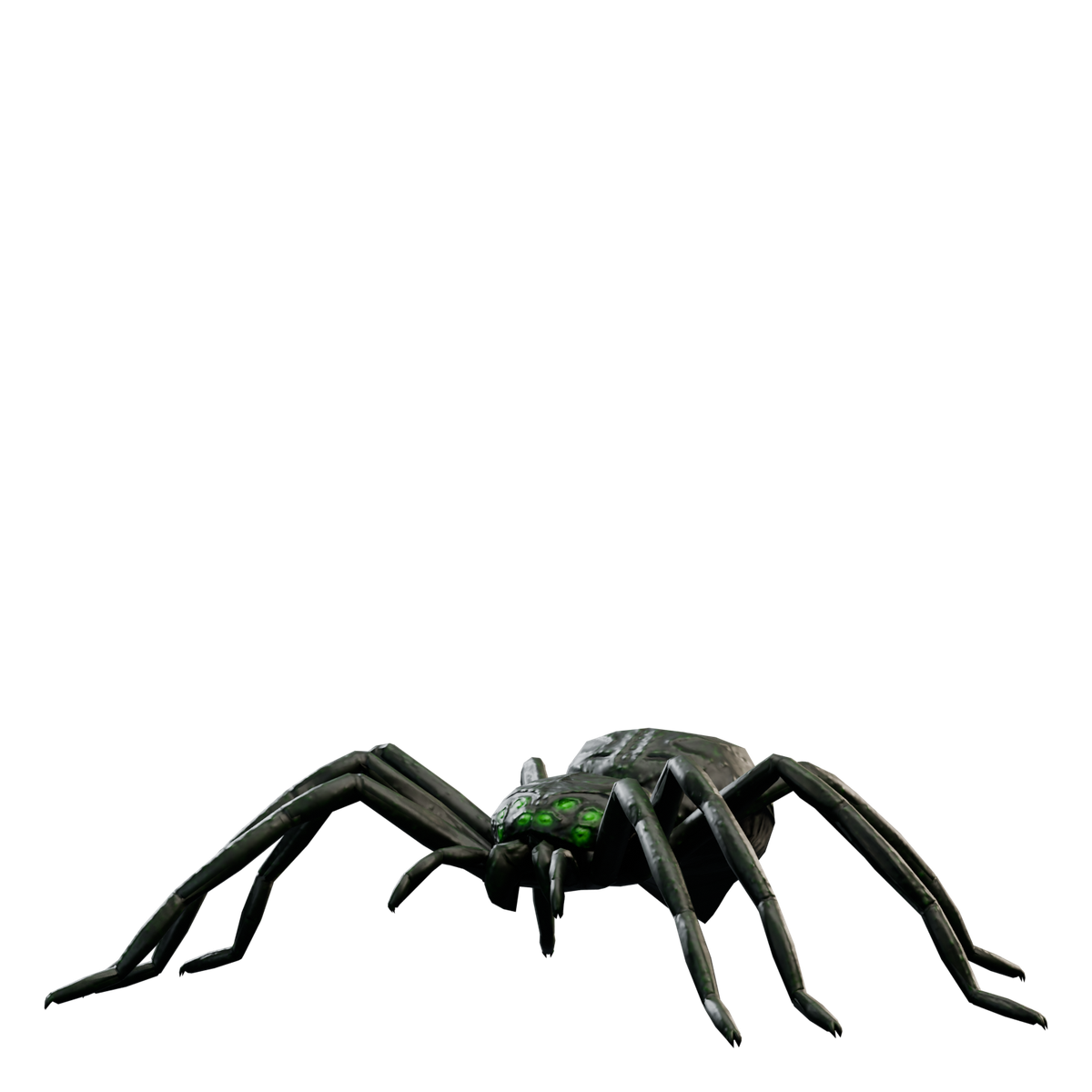 Venomous Spider