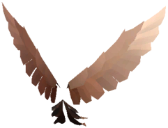 Duskfeather Wings