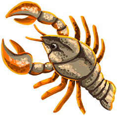 Rustclaw Crayfish