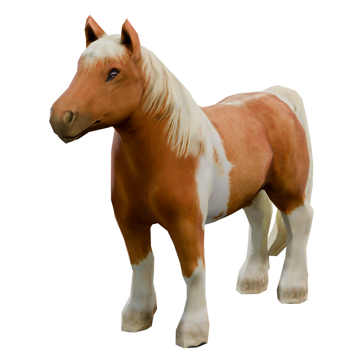 Chestnut Pony