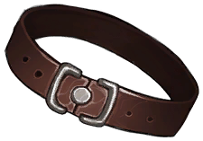 Ringclasp Belt