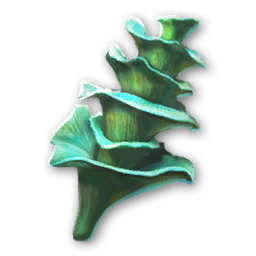 Coriolus