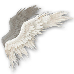 Lesser Daeva Wings (Bound)