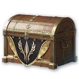 Skin Chest (10 times) (Bound)