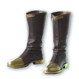 Pnyn Boots