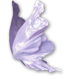 Violet Butterfly Wings (Bound)