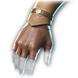 Aulla Gloves