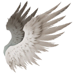 Intermediate Daeva Wings (Bound)