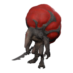 Dracuni domado