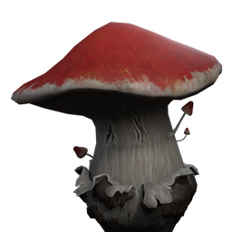 Fungie de la cueva