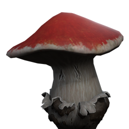 Fungie (Pilzhöhle)