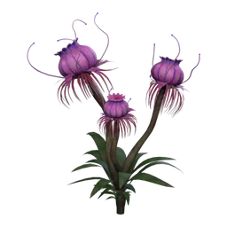 Flor Tóxica Doce