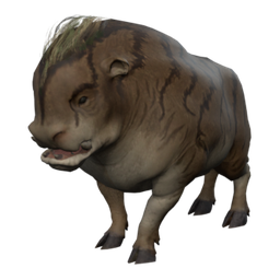 Togjunges