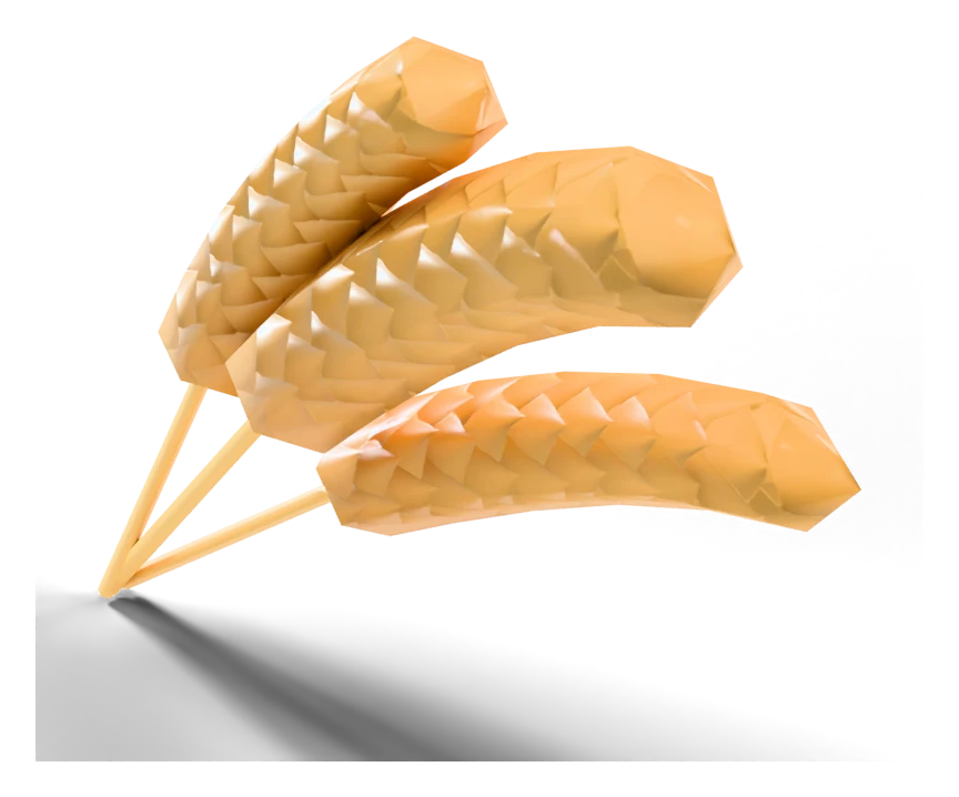 Wheat