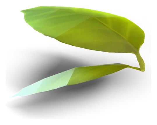 Leaf