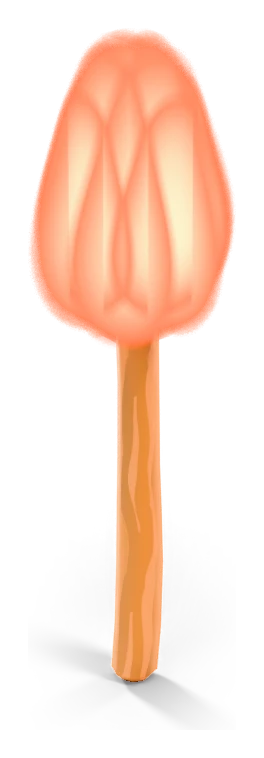 Torch
