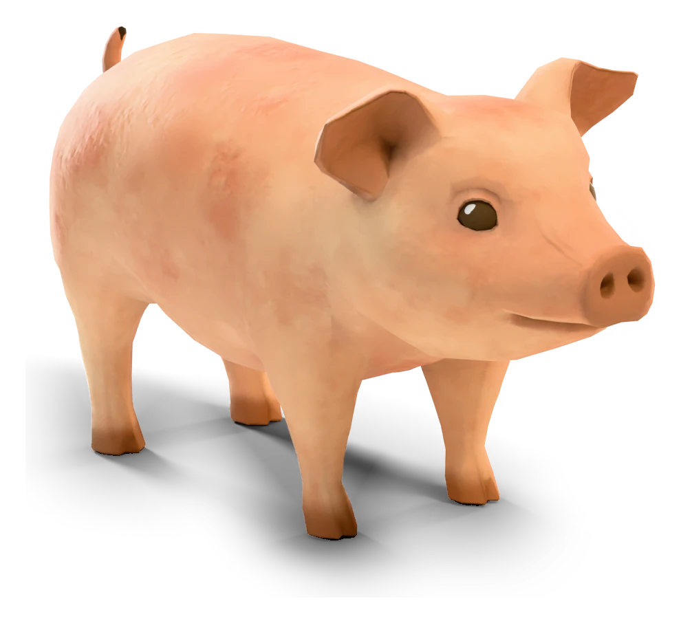 Pig