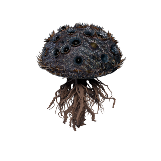 Aggeravic Mushroom node - MotherRootB Fix