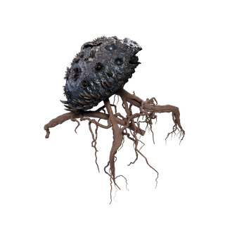 Aggeravic Mushroom node - MotherRootC