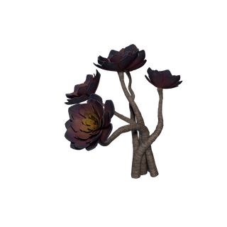 Rare Flower node - BlackRose A