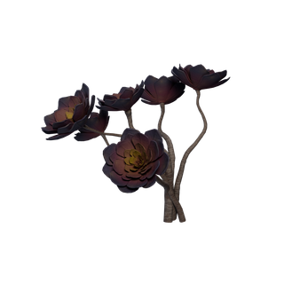 Rare Flower node - BlackRose B