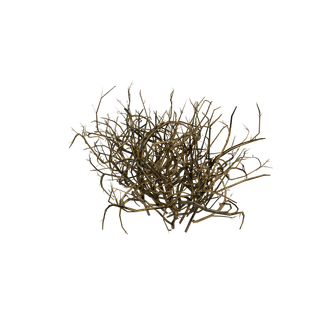Nodo de Semilla de baya cian - BriarBushClump SM