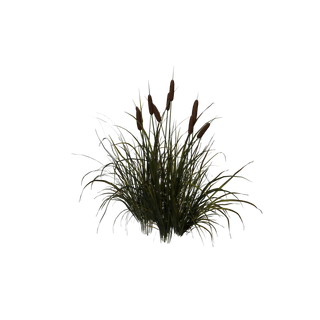 Nodo de Semilla de baya cian - Cattail Cluster