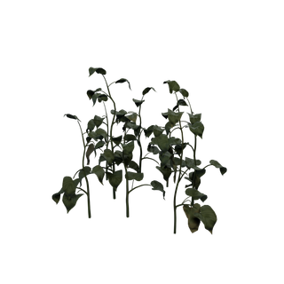 Nodo de Semilla de baya cian - FalseLily cluster01
