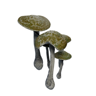 Nó de Cogumelo Raro - GlowShrooms 01