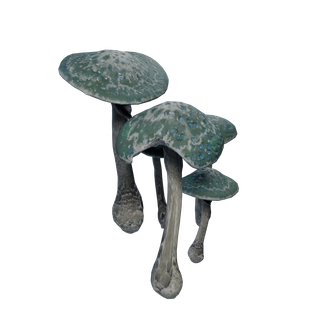 Nó de Cogumelo Raro - GlowShrooms 01 Blue