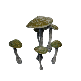 Nó de Cogumelo Raro - GlowShrooms 02