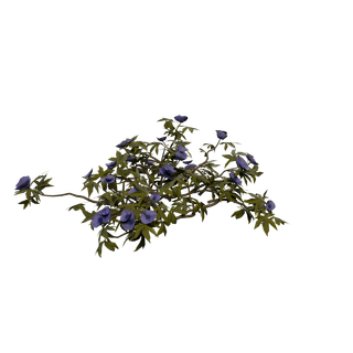 Gisement de Graine de Narcoberry - PurpleMat
