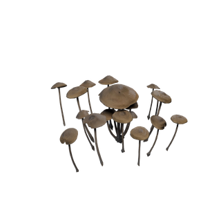 Nó de Cogumelo Raro - MushroomA
