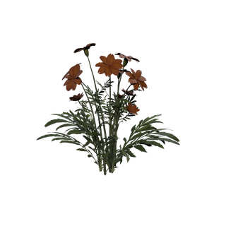 Nodo de Semilla de baya cian - Marigold