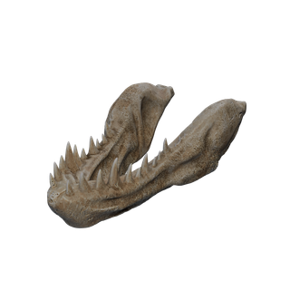 Nodo di Sale grezzo - Bones Skull 1 Lower