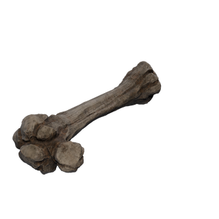 Nodo di Sale grezzo - Bones 2