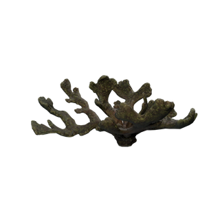 石のノード - Coral Q