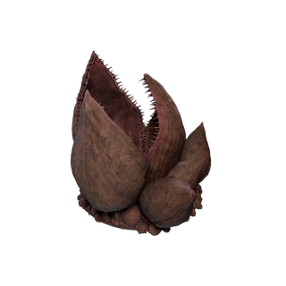 Aggeravic Mushroom node - DeathsKiss A