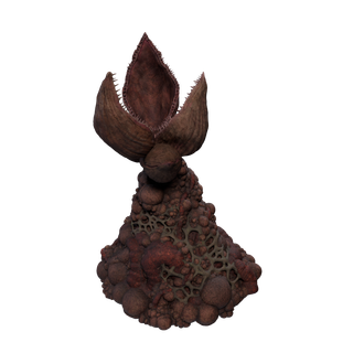 Aggeravic Mushroom node - DeathsKiss C