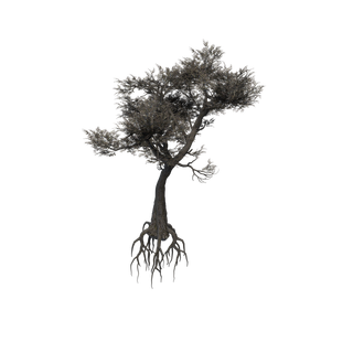 Gisement de Sève cristallisée bleue - EXT WL ThornyAcacia Yuge