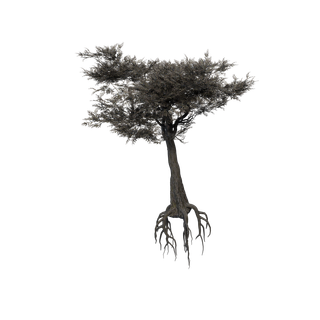 Gisement de Sève cristallisée bleue - EXT WL ThornyAcacia Yuge 02