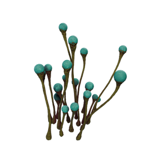 Aggeravic Mushroom node - LightSource Bulb AB
